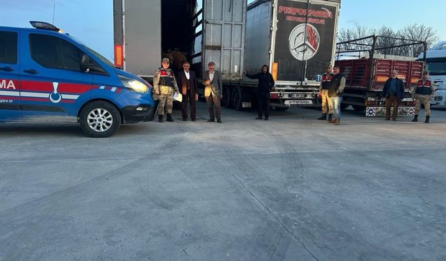 Ağrı'da çalınan 300 koyun Bitlis'te bulundu
