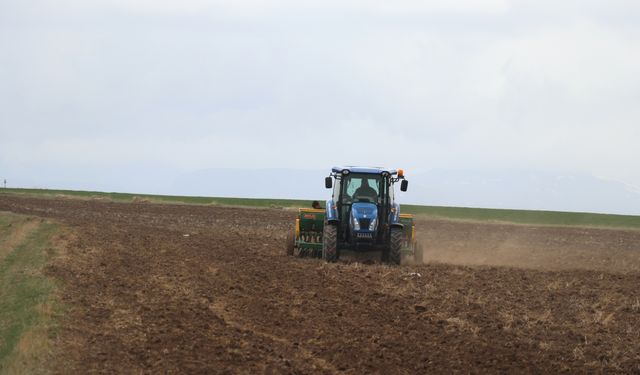 Ağrı'nın verimli ovasındaki tarlalarda ekim zamanı