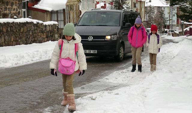 Kars ile Ağrı'da kar yağışı ve soğuk hava etkili oluyor