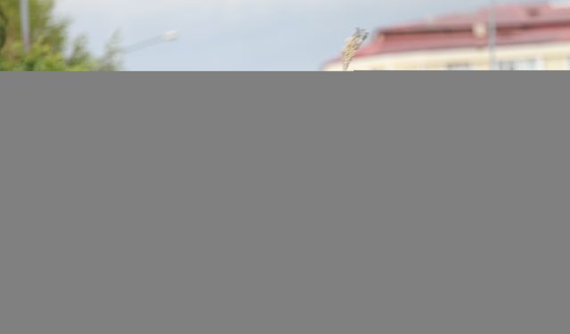 Kars ve Ağrı'da Kerbela şehitleri anıldı