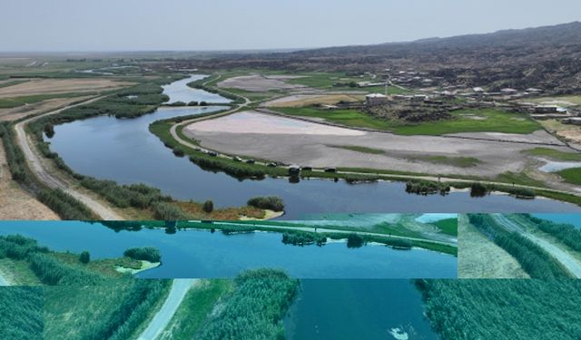 Ağrı Dağı'nın eteklerindeki sulak alanlar turizme kazandırılıyor