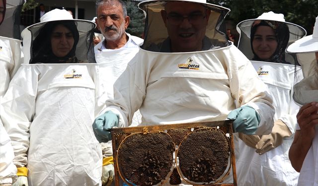 Ağrı Valisi Koç, kadın arıcılarla bal hasadı yaptı