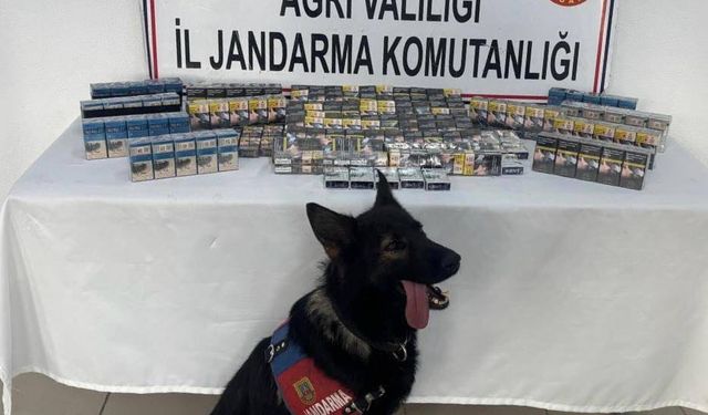 Ağrı'da kaçak sigaralarla yakalanan 4 şüpheli gözaltına alındı