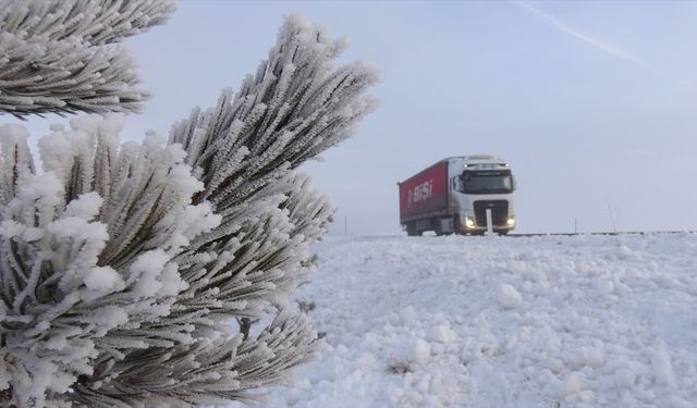 Ağrı, Ardahan, Tunceli ile Kars'ta sis ve buzlanma etkili oldu