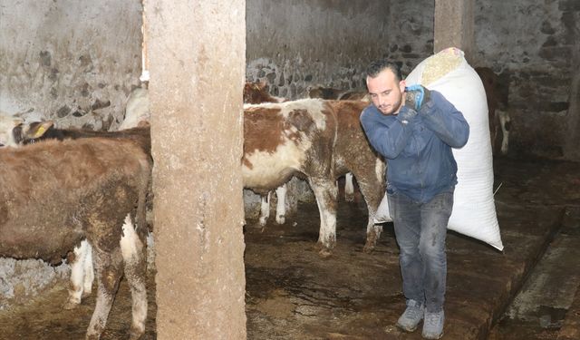 Ağrılı genç veteriner tekniker hibe desteğiyle hayvancılık işini büyüttü