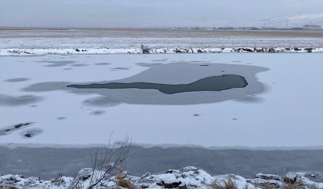 Kars, Ardahan ve Ağrı'da kar etkili oldu