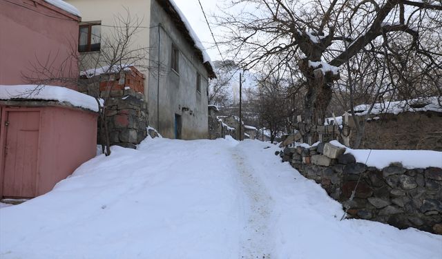 Ağrı, Ardahan ve Iğdır'da dondurucu soğuklar etkili oluyor