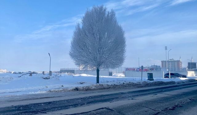 Erzurum, Ağrı, Ardahan ve Kars'ta dondurucu soğuklar etkili oluyor