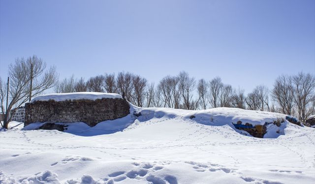 Erzurum, Kars, Ağrı ve Ardahan'da kar etkili oldu