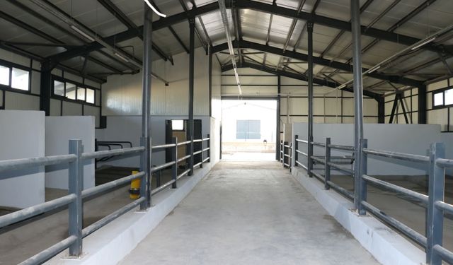 Ağrı'da 307 ahırdan oluşan hayvancılık merkezi inşasında sona yaklaşıldı