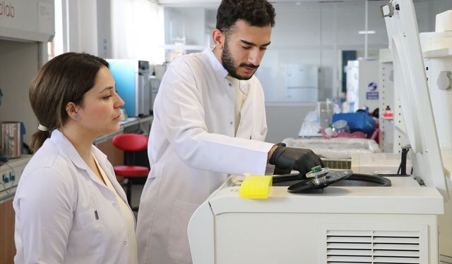 Ağrı'da akademisyen çift çeşitli hastalıkları araştırmak için zebra balığından yararlanıyor