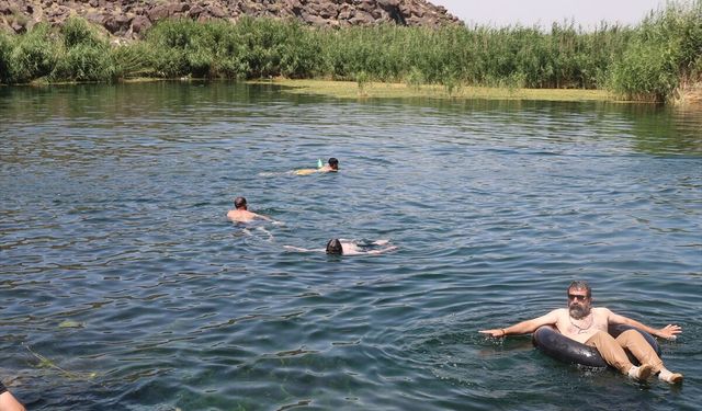 Iğdır'da sıcaktan bunalanlar Ağrı Dağı eteklerinde serinlemeye çalıştı