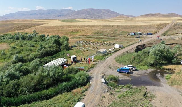 Zengin floraya sahip Ağrı'da tescilli geven balında 357 ton verim bekleniyor