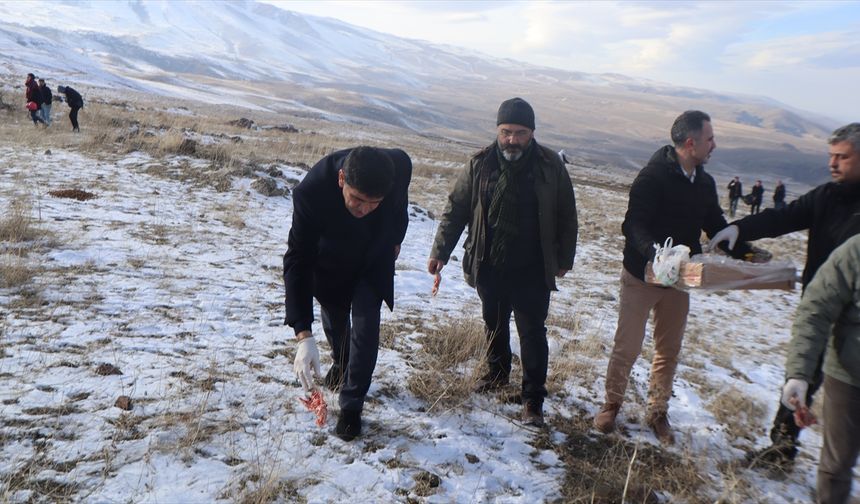 Iğdır'da üniversite öğrencileri, Ağrı Dağı'ndaki yaban hayvanlarına et ve yem bıraktı