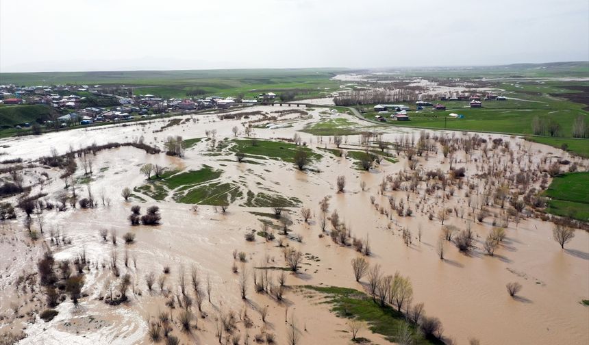 Ağrı'da Murat Nehri'nin taşması sonucu tarım arazilerini su bastı