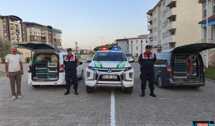 Ağrı'da ele geçirilen 240 kilogram kurbağa doğaya bırakıldı