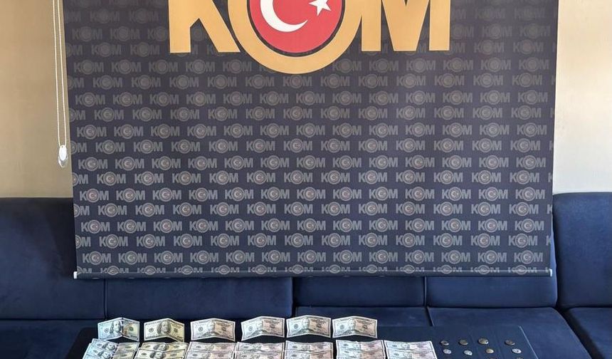 Ağrı'da evinde sahte dolar ve sikke ele geçirilen şüpheli tutuklandı
