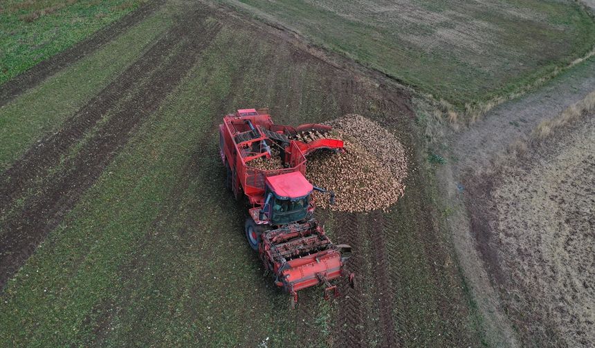 Ağrı'da devlet desteğiyle ekilen tarım ürünlerinde çeşitlilik artıyor