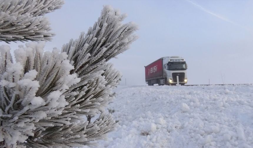 Ağrı, Ardahan, Tunceli ile Kars'ta sis ve buzlanma etkili oldu