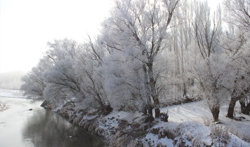 Ağrı'da soğuk havanın etkisiyle ağaçlar kırağı tuttu