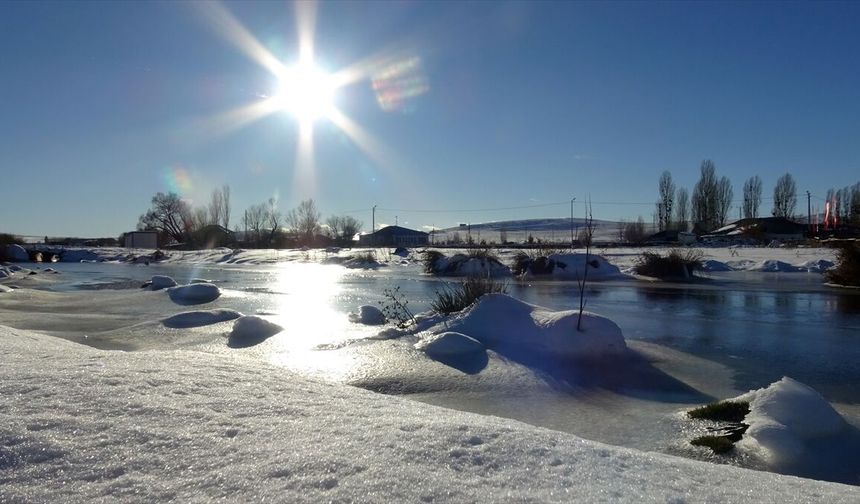 Ağrı'da tırın dorsesinde 2 bin 500 uyuşturucu hap ele geçirildi