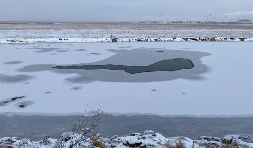 Kars, Ardahan ve Ağrı'da kar etkili oldu