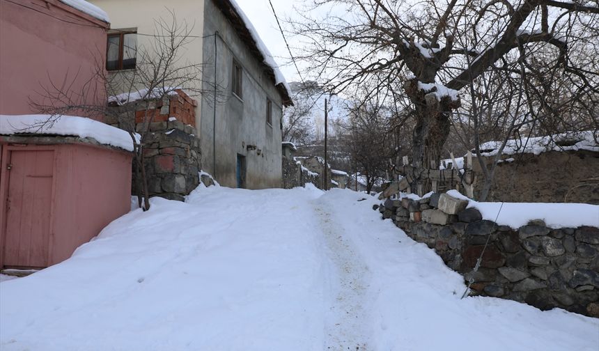 Ağrı, Ardahan ve Iğdır'da dondurucu soğuklar etkili oluyor