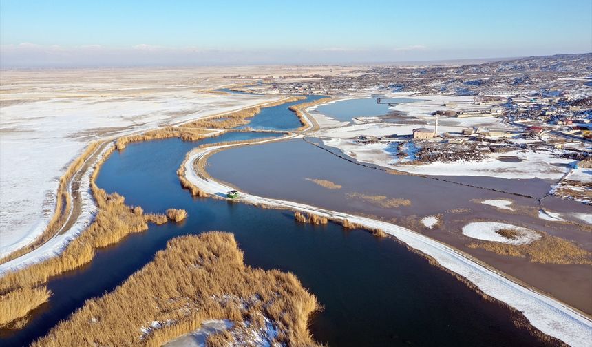Ağrı Dağı'nın eteklerinde dondurucu soğuklara rağmen 35 kuş türü yaşıyor