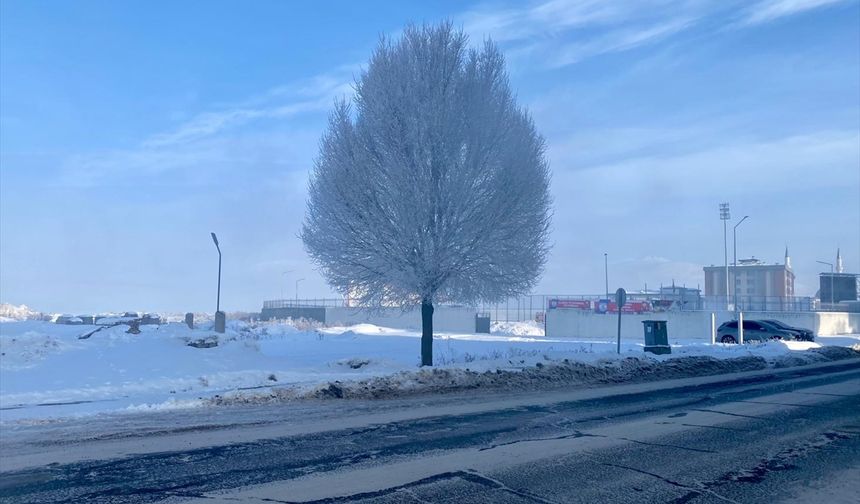 Erzurum, Ağrı, Ardahan ve Kars'ta dondurucu soğuklar etkili oluyor