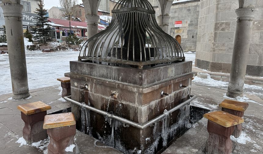 Erzurum, Ağrı, Tunceli, Ardahan ve Kars'ta soğuk hava etkisini sürdürüyor