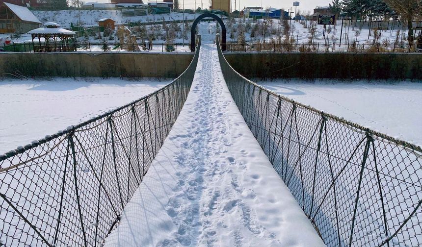 Erzurum, Ardahan, Kars, Ağrı ve Tunceli yeniden karla kaplandı