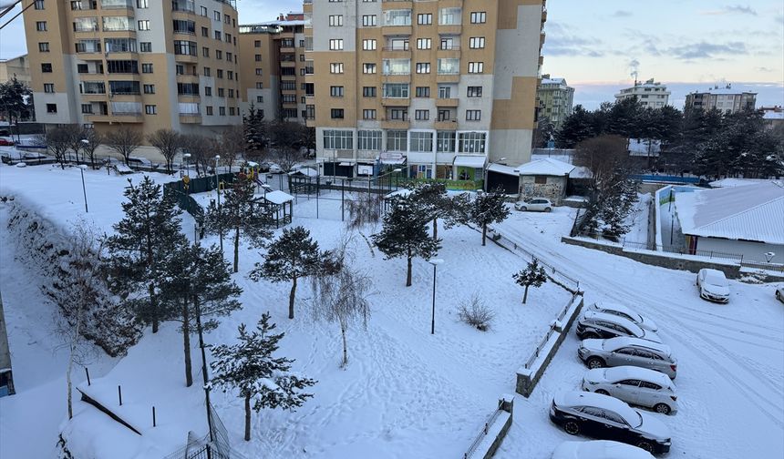 Erzurum, Ardahan, Tunceli, Kars ve Ağrı'da dondurucu soğuklar yaşamı güçleştiriyor