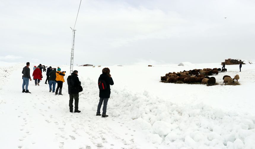 Ağrı'nın zorlu kış yaşamı ve doğal güzellikleri fotoğrafçıların rotasında