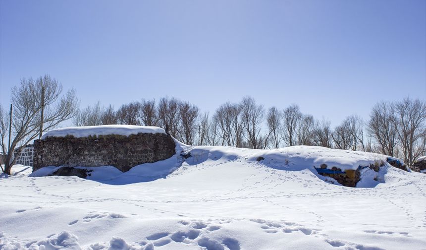 Erzurum, Kars, Ağrı ve Ardahan'da kar etkili oldu