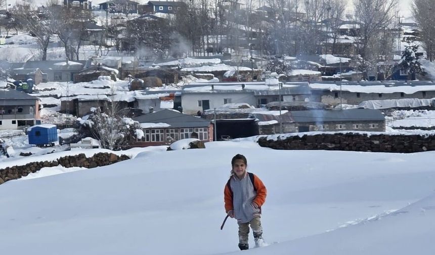 Erzurum, Ardahan, Kars ve Ağrı'da dondurucu soğuk hava etkili oluyor