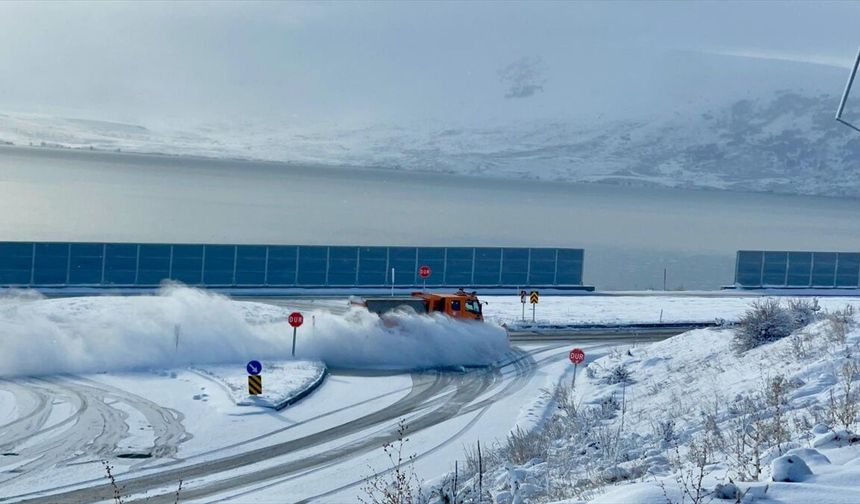 Erzurum'da soğuk hava, Ardahan, Ağrı ve Kars'ta kar etkili oldu