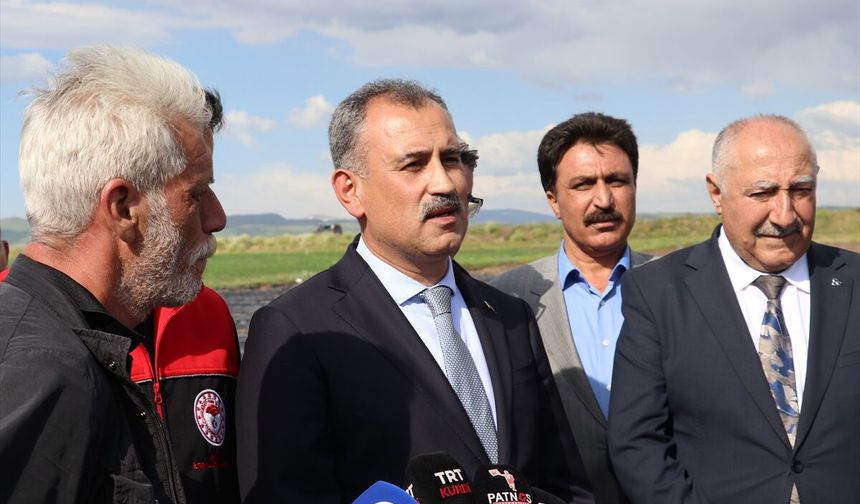 Ağrı'nın bereketli topraklarında devlet desteğiyle çilek seraları kuruluyor